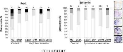 Arabidopsis Plants Sense Non-self Peptides to Promote Resistance Against Plectosphaerella cucumerina